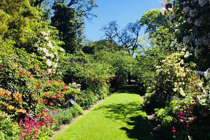 Shore Excursion: Dunedin City, Otago Peninsula, Castle Gardens & Olveston Tour - Larnach Castle Gardens: the longest outdoor stop