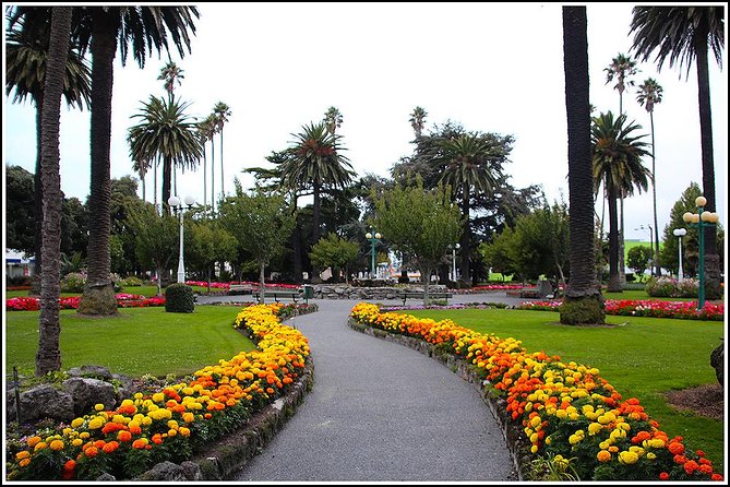 Shore excursion - Napier sight seeing/Art Deco Tour, - Key points to know before booking
