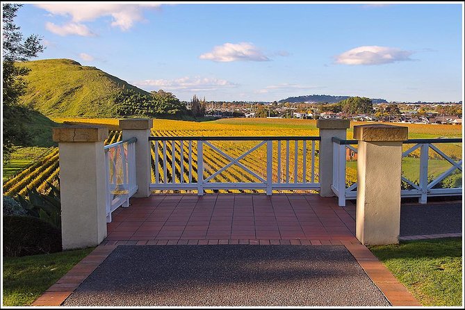 Shore excursion - Napier sight seeing/Art Deco Tour, - Price, timing, and overall value