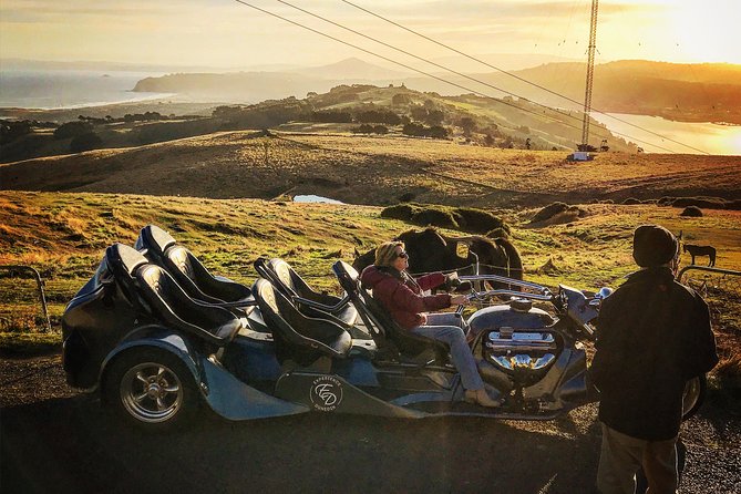 Shore Excursion: V8 Trike, Peninsula and City Tour - Why the V8 trike changes the Dunedin sightseeing game