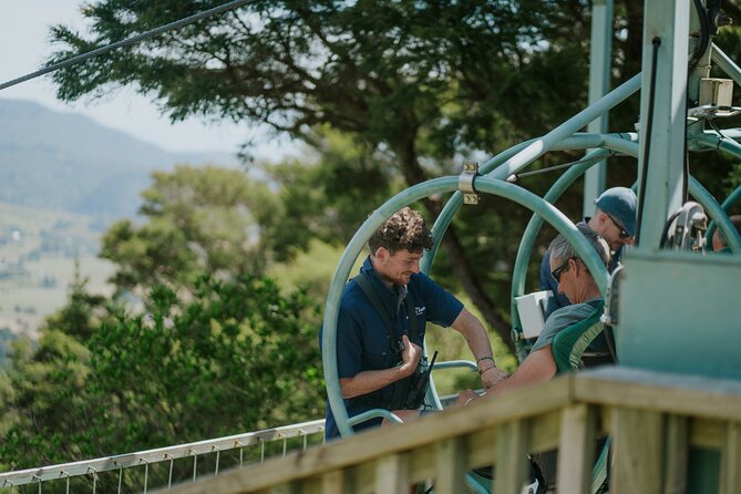 Skywire Adventure at Cable Bay, Nelson - The ride: speed, forest, and a return trip