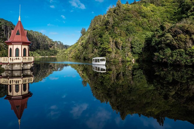 Small Group Daytime 2-Hour Eco Wildlife Tour at Zealandia - Tuatara, green geckos, and the smaller discoveries