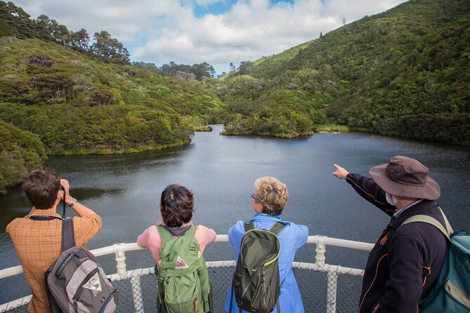 Small Group Daytime 2-Hour Eco Wildlife Tour at Zealandia - Rain, fog, and the Wellington weather question