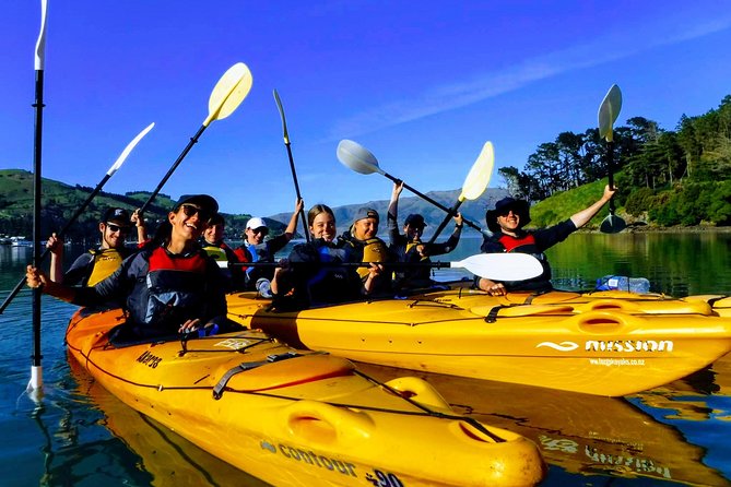 Small group guided sea kayaking in Akaroa marine reserve - Key points for your Akaroa paddle