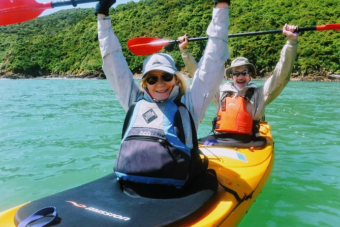 Small group guided sea kayaking in Akaroa marine reserve - Watching for Hector’s dolphins and penguins