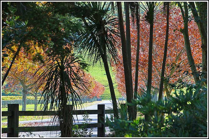 Small group - Napier Premium Wineries+ Beer tour -5.0 - 5.5 hours - Why hotel pickup matters in Napier