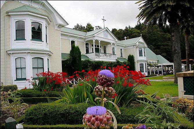 Small group - Napier Premium Winery , Beer & Cider + 5.5h to 6h. - Switching from wine to three full beers or ciders