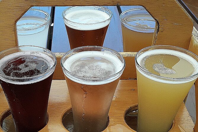Small group - Napier Premium Winery , Beer & Cider + 5.5h to 6h. - Lunch with pizza or a cheese platter
