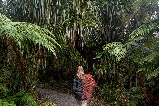 Small Group Northern Voyager 7 Days Tour - Day 5: Taupo thrills or the Tongariro Crossing
