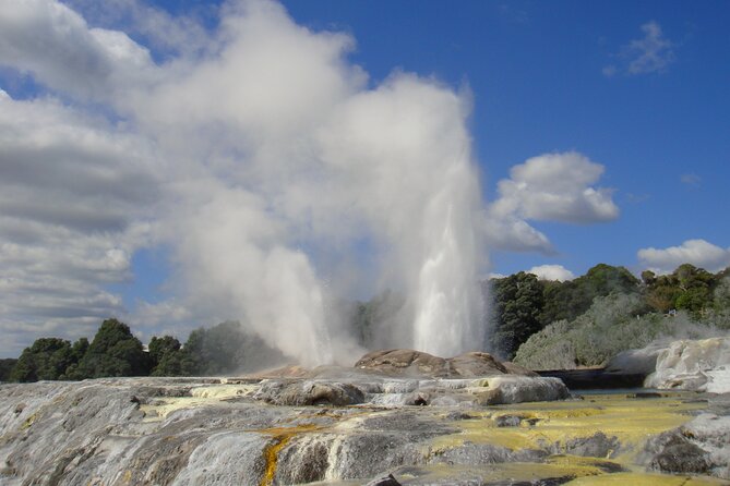 Small Group Waitomo and Rotorua including Te Puia Tour - Key points at a glance