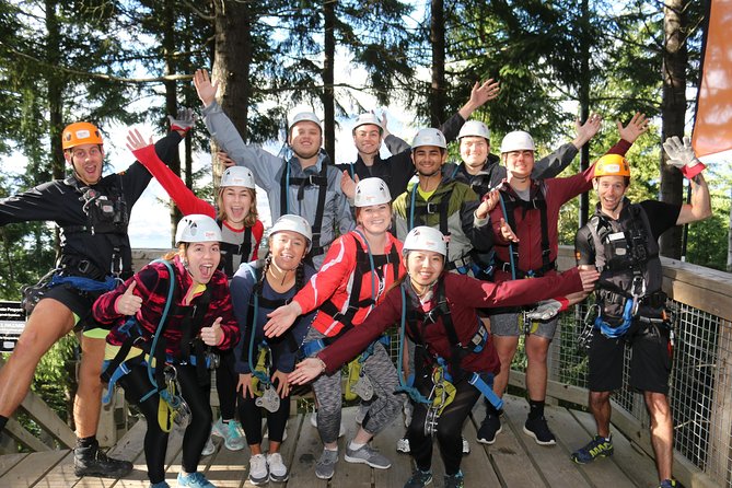 Small-Group Zipline Adventure in Queenstown - Views, forest, and the walk between the lines