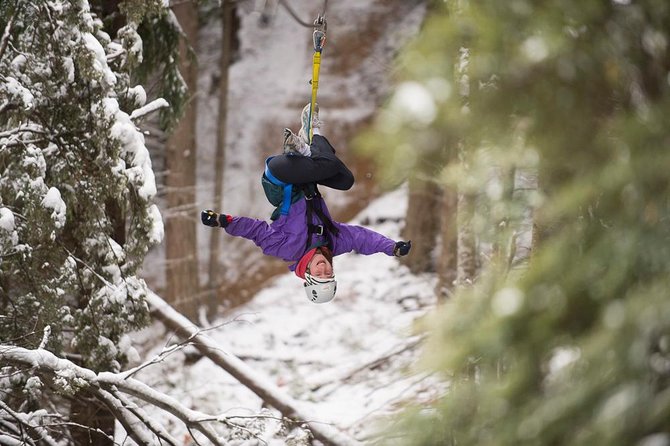 Small-Group Zipline Adventure in Queenstown - Is $73.85 good value?