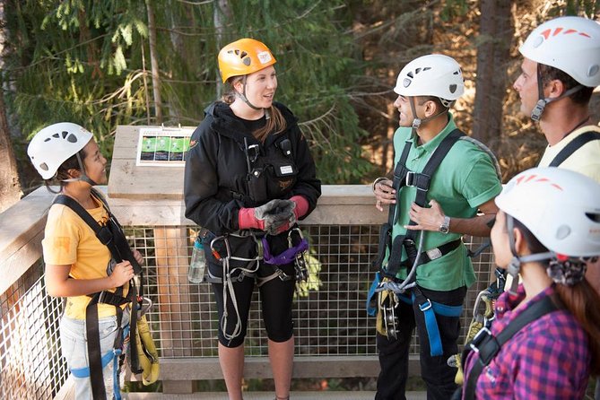 Small-Group Zipline Adventure in Queenstown - How the two-hour tour unfolds