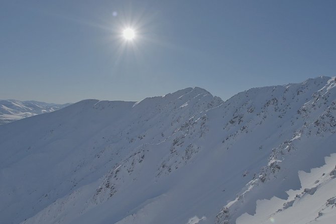 Southern Alps Scenic - What the pilot adds to the experience