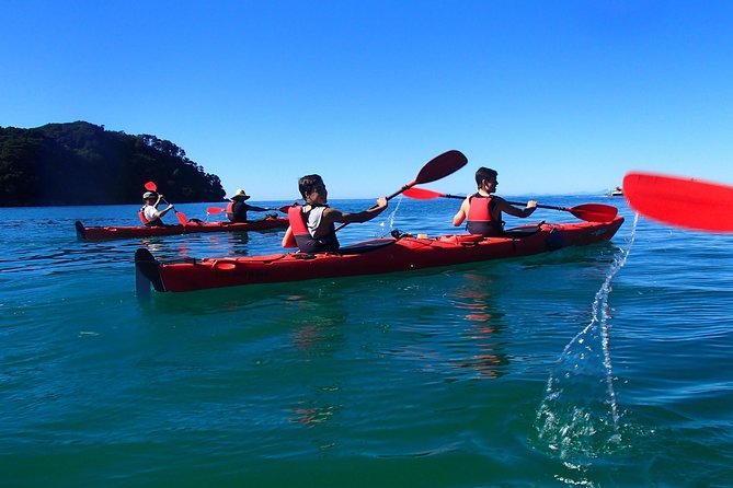 Southern Duo kayak & walk tour - Walking through Abel Tasman after the water
