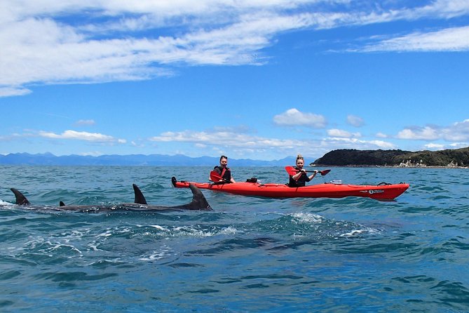 Southern Duo kayak & walk tour - How difficult is the full eight-hour day?