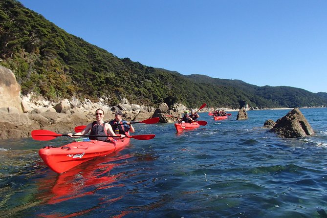 Southern Duo kayak & walk tour - Paddling the southern coast for about two hours