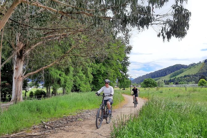 Spooners Tunnel to Nelson One Day Cycle Self Guided Tour - Te Mania Wines and Richmond Plains