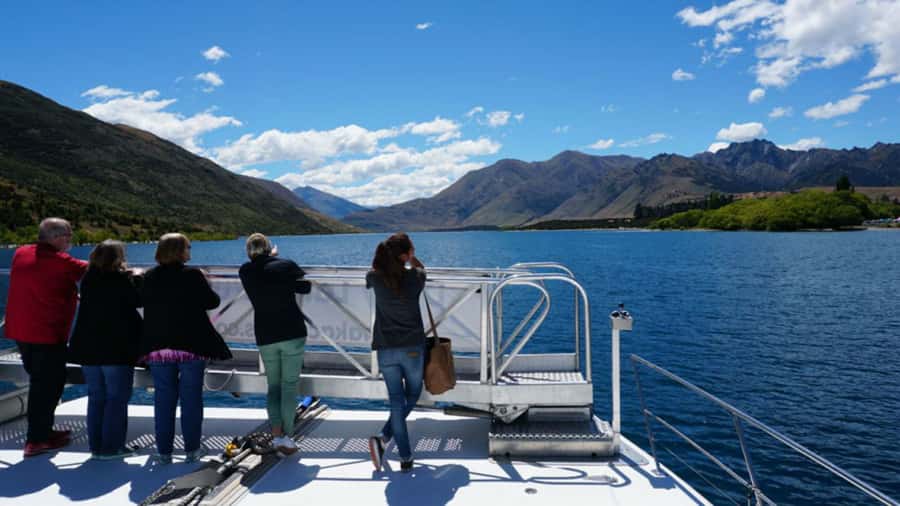 Stevensons Island 2-Hour Cruise and Nature Walk - Who should book this cruise?