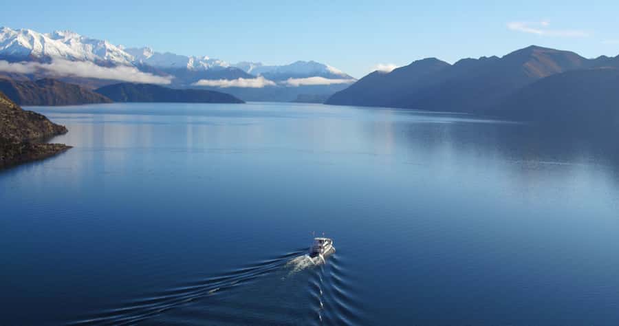 Stevensons Island 2-Hour Cruise and Nature Walk - Why Stevensons Island makes a good Lake Wanaka outing