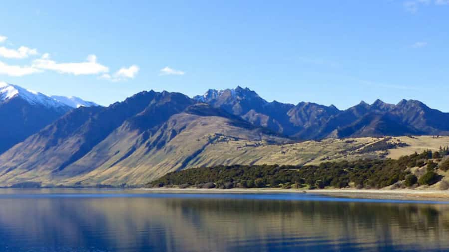 Stevensons Island 2-Hour Cruise and Nature Walk - Stay on the beach if the hill is not for you