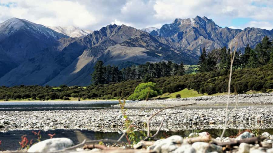 Stevensons Island 2-Hour Cruise and Nature Walk - The return cruise, warm drink, and biscuit