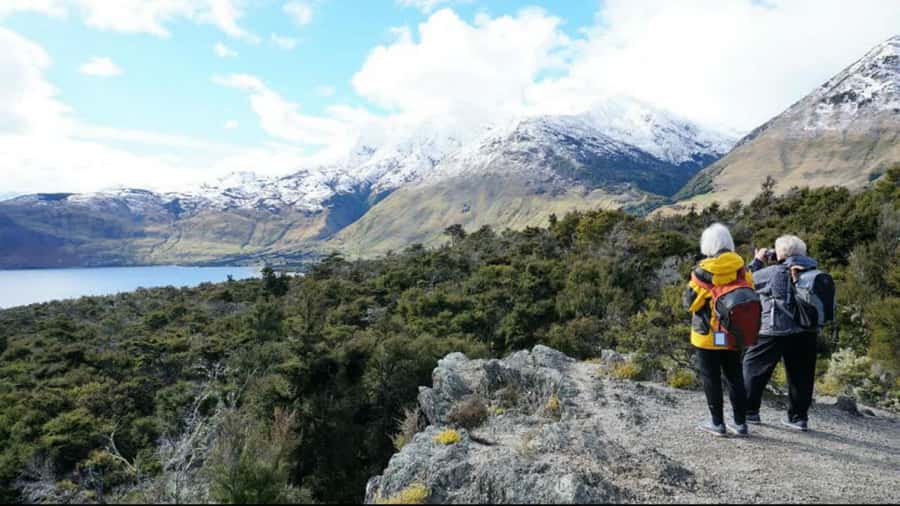 Stevensons Island 2-Hour Cruise and Nature Walk - How the guides shape the experience
