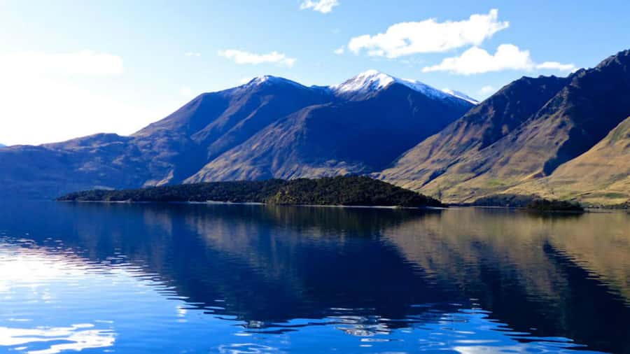 Stevensons Island 2-Hour Cruise and Nature Walk - Is $50 a fair price for two hours?