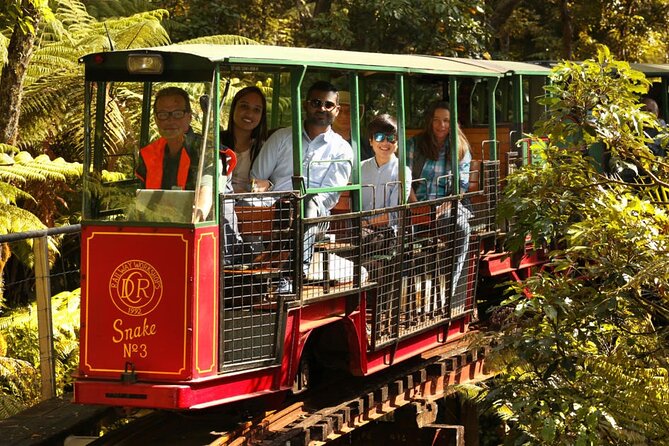 [Stevong Travel] West Coromandel Day Tour - Riding the narrow-gauge Driving Creek Railway