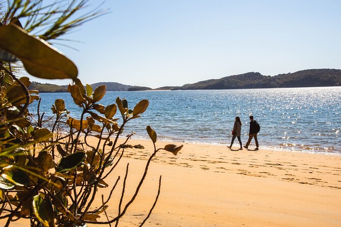 Stewart Island Fly Explore Fly ex Queenstown by Glenorchy Air - What the price of $526.87 includes