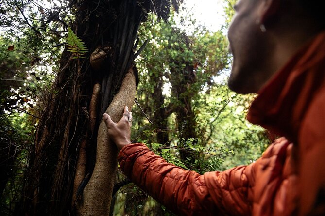 Stewart Island: Guided Wilderness Walk - How to prepare for the 200-minute outing