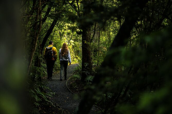 Stewart Island: Guided Wilderness Walk - Final call: book it for access and insight