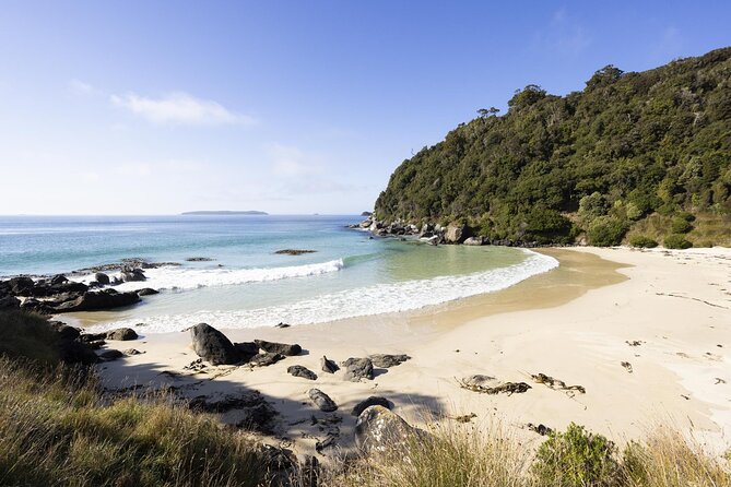 Stewart Island: Guided Wilderness Walk - From Oban to Oneke by catamaran
