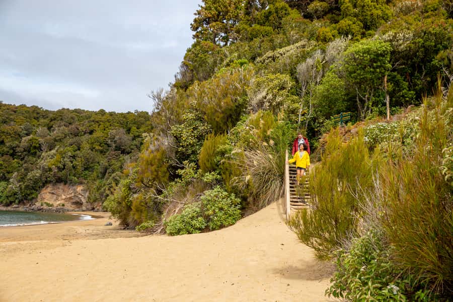 Stewart Island: Ulva Island Guided Wilderness Walk & Cruise - Booking details that matter