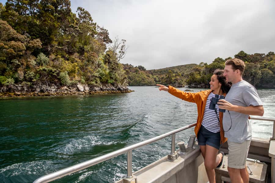 Stewart Island: Ulva Island Guided Wilderness Walk & Cruise - Why Ulva Island deserves the time