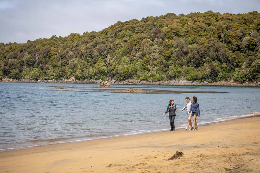 Stewart Island: Ulva Island Guided Wilderness Walk & Cruise - What the history adds to the water trip