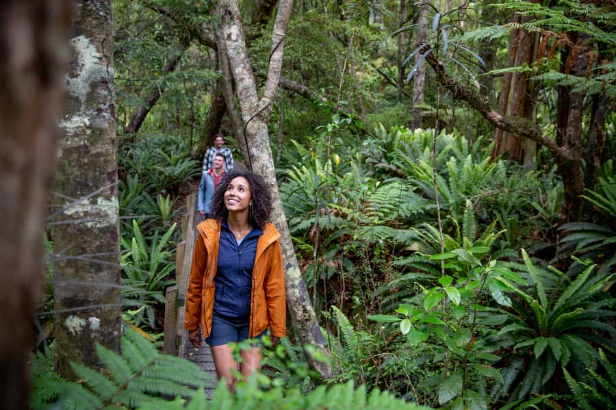 Stewart Island: Ulva Island Guided Wilderness Walk & Cruise - The 1.5-hour walk on Ulva Island