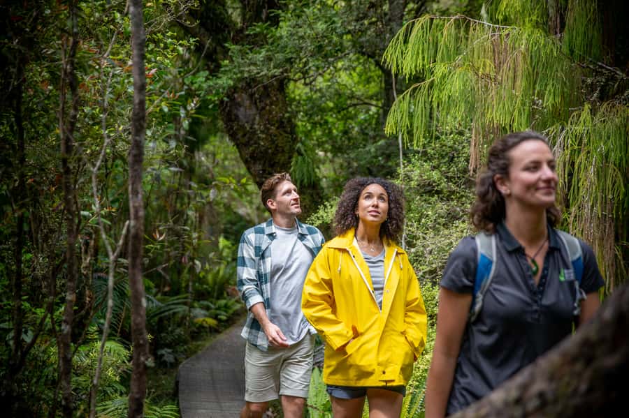 Stewart Island: Ulva Island Guided Wilderness Walk & Cruise - Weather, clothing, and comfort