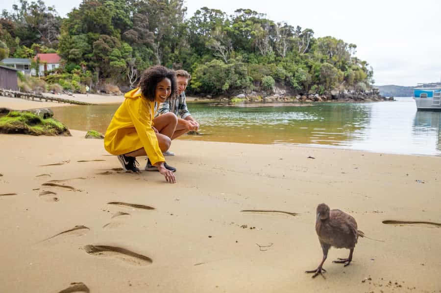 Stewart Island: Ulva Island Guided Wilderness Walk & Cruise - The cruise through Paterson Inlet
