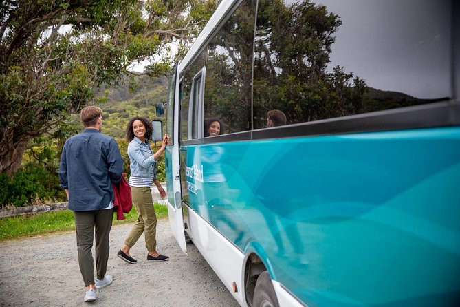 Stewart Island: Village and Bays Tour - Why this is a smart first look at Rakiura