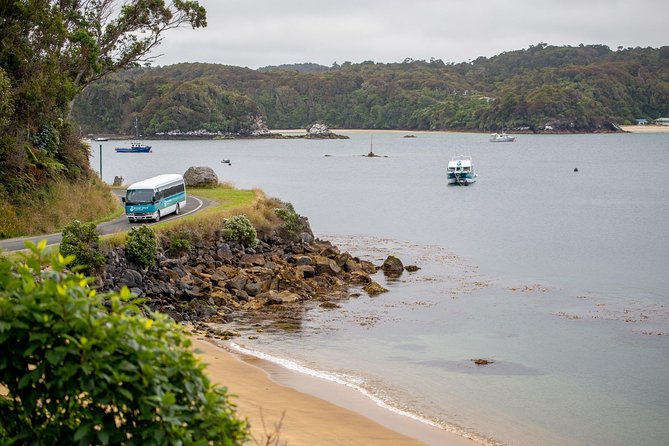 Stewart Island: Village and Bays Tour - Oban township and the feel of island life