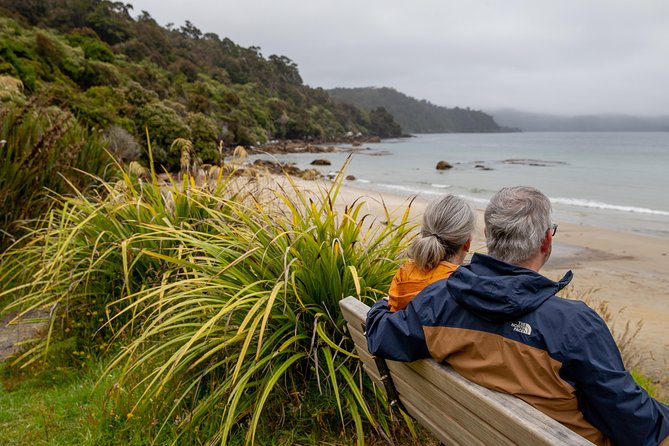 Stewart Island: Village and Bays Tour - Observation Rock and Paterson Inlet