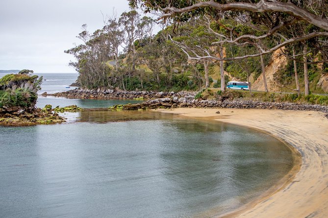 Stewart Island: Village and Bays Tour - A guide-led look at plants, animals, and conservation