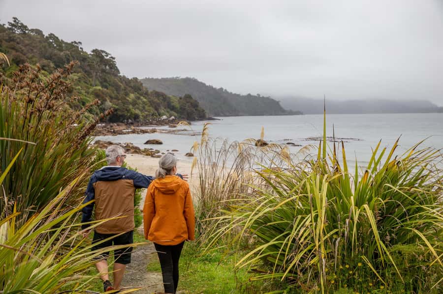 Stewart Island: Village and Bays Tour - Is $35 good value?
