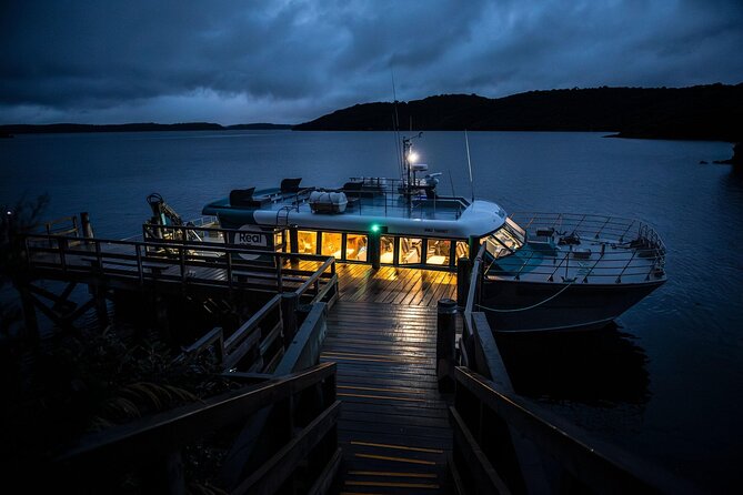 Stewart Island: Wild Kiwi Experiences - Oneke, the Neck, and the cultural side of the night