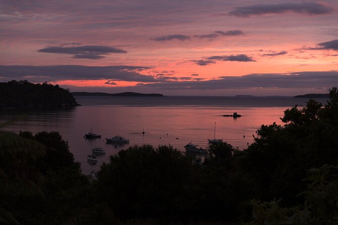 Stewart Island: Wild Kiwi Experiences - The kiwi sighting question