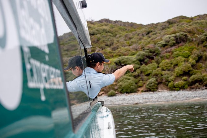 Stewart Island: Wild Kiwi Experiences - The sunset cruise around Stewart Island’s islands
