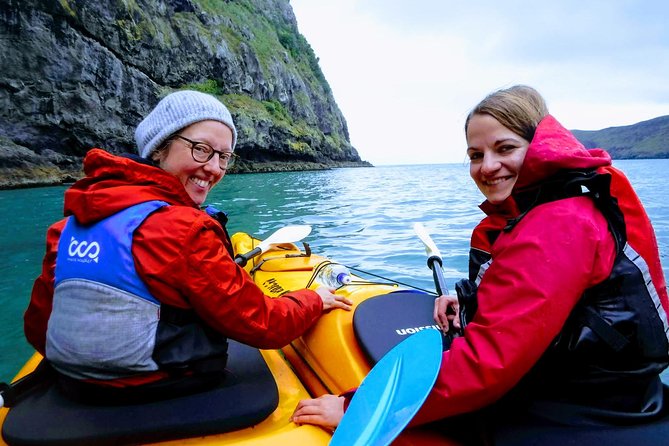 Sunrise wildlife sea kayaking in Akaroa marine reserve - Meeting at 7:30 am in Akaroa