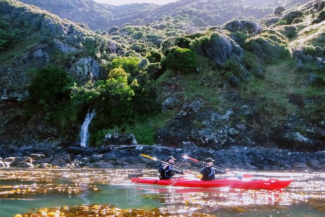 Sunrise wildlife sea kayaking in Akaroa marine reserve - Getting comfortable in the kayak