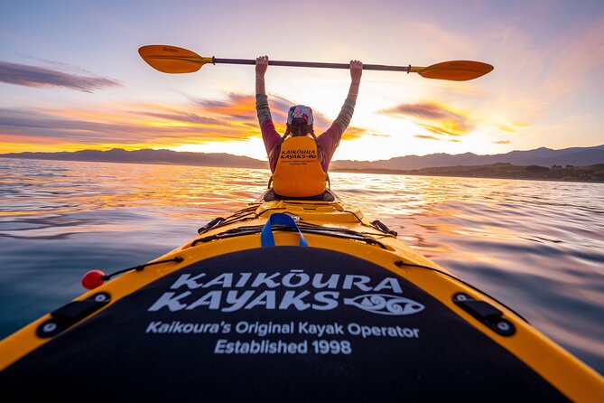 Sunset Evening Kayaking Tour - Kaikoura - Key points before you book